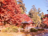 ゼミ合宿（犬山－天龍村－浜松）